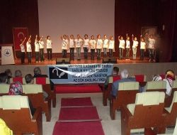 Mecidiye İÖ'de örnek etkinlik